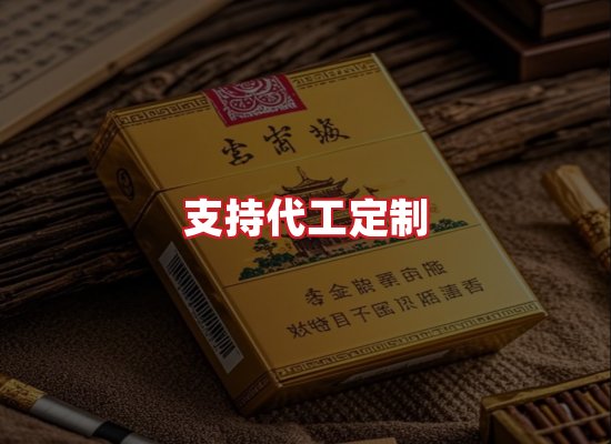 专业团队